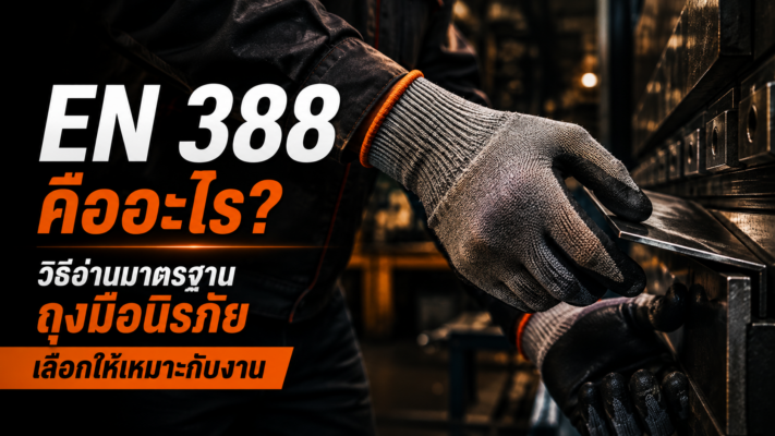 en-388-safety-gloves-standard
